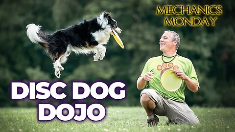 🐶🥏🥋 Master the Mechanics of DiscDogging: Tune in to DiscDog Dojo #80 Mechanics Monday 💨🐶🍪