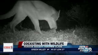 Humane Society hosts "Living in Harmony with Wildlife" class