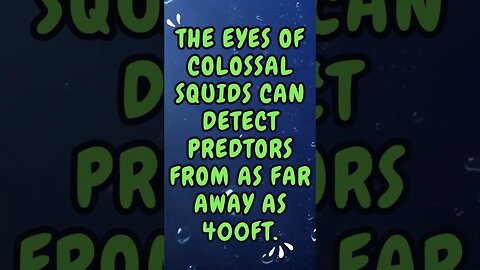 🦑Discover Fascinating Animal Facts👀 #shorts #shortsfact #animalfacts #squid #antarctic #oceananimals