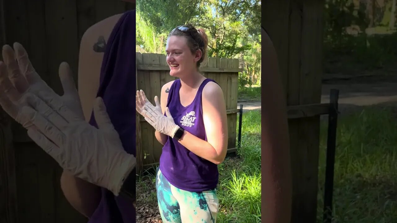 Waterline break at Big Cat Rescue!