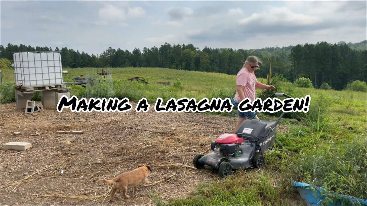 Animal-FriendlyGardening:Tips for a lush Lasagna Garden