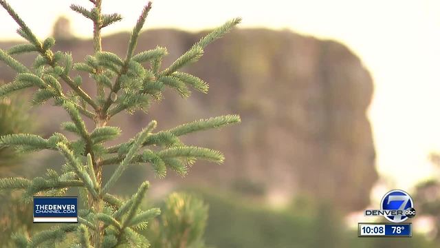 Castle Rock neighbors at odds with church plans; fear retaining wall will tower over homes