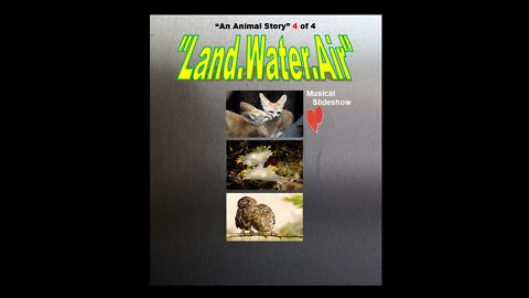 *NEW "An Animal Story" Musical Slideshow 4 of 4 "LAND.WATER.AIR"