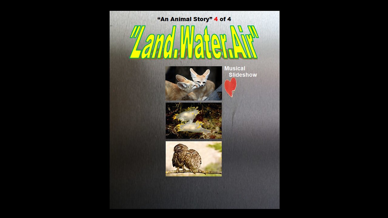 *NEW "An Animal Story" Musical Slideshow 4 of 4 "LAND.WATER.AIR"