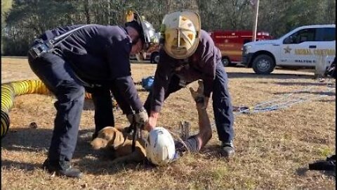 Rescuers Pull Dog Out of 15-Foot-Deep Hole