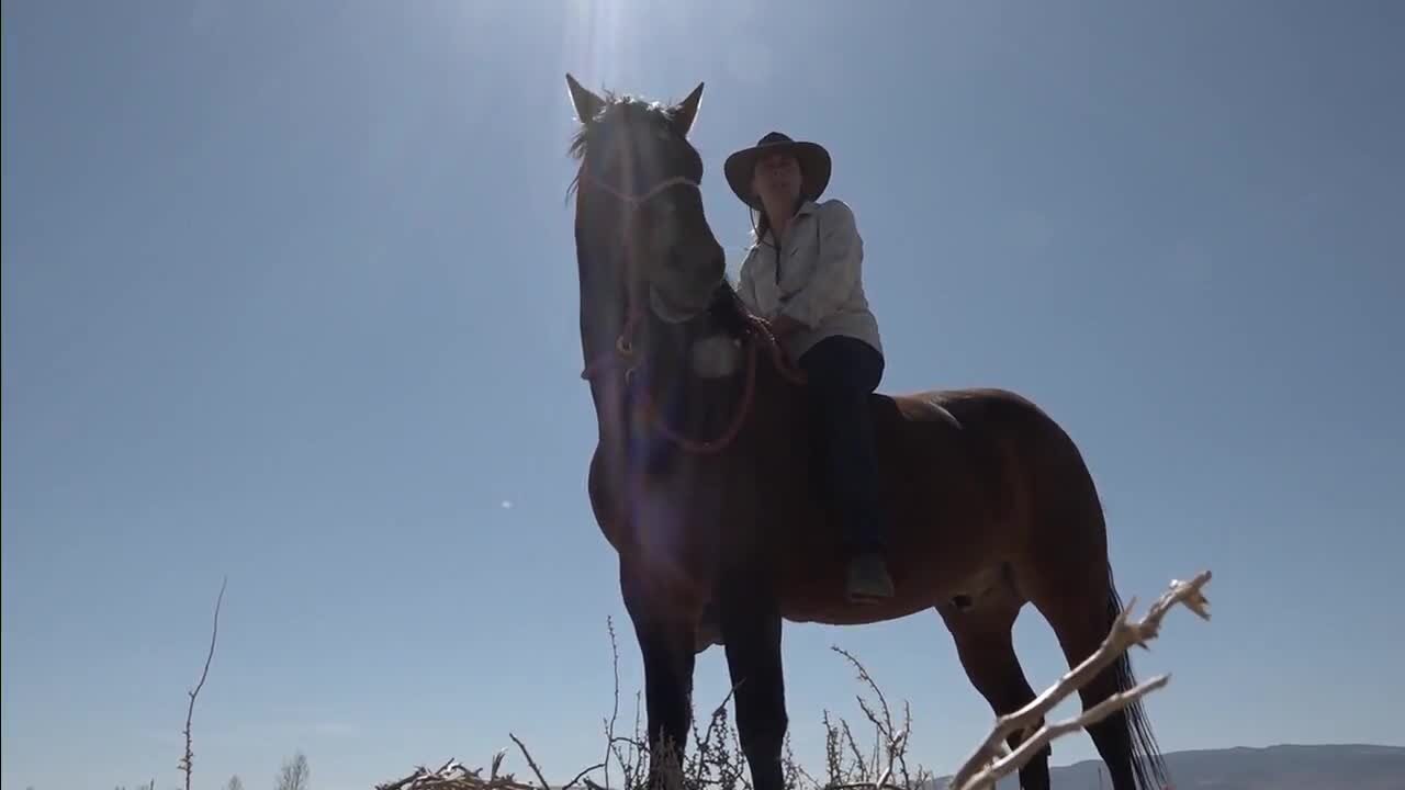 Nevada woman embarking on 550-mile horse ride