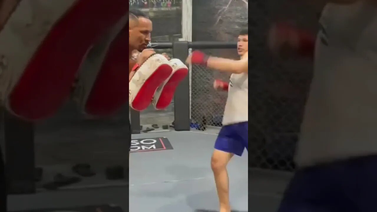 #mma #jiujitsu #kof #figtinggames #Joehigashi