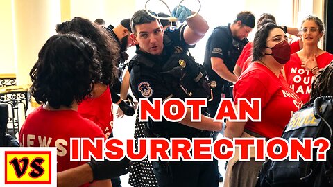 Anti-Israel Activists STORM the Capitol!