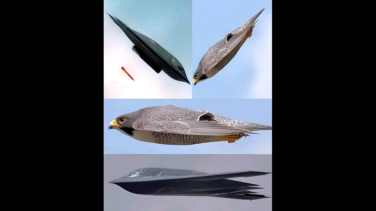 US B-2 BOMBER