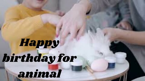 Birthdays are being celebrated with the care of beautiful animals.