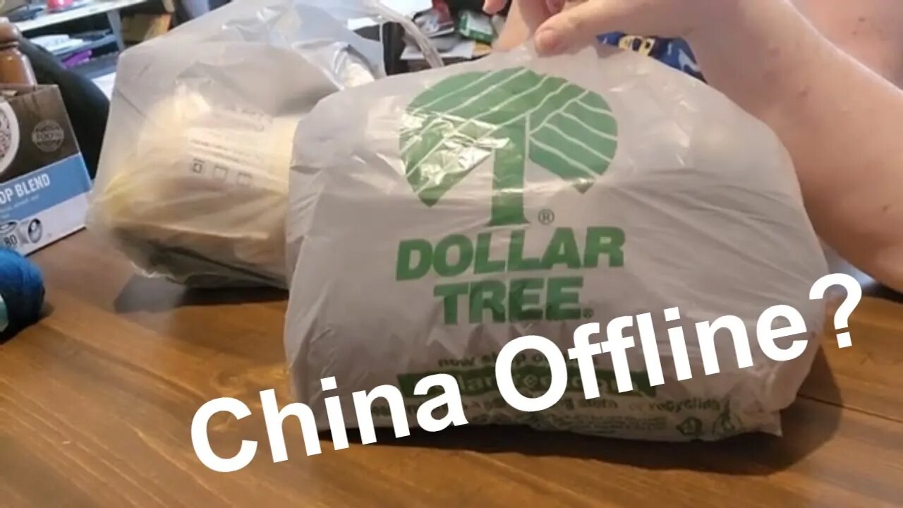 China going Offline? #dollartreehaul #crafting #craftinghaul