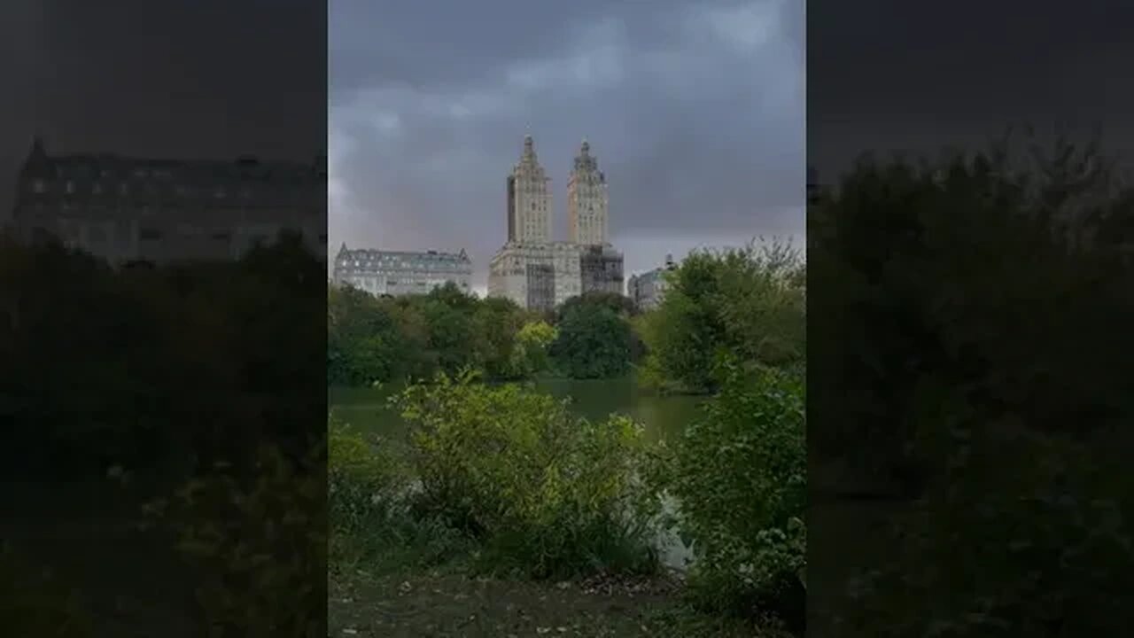 Before The Storm tiktok nada elrakaiby