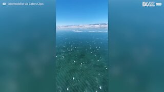 En sautant, il crée une interminable fissure dans la glace