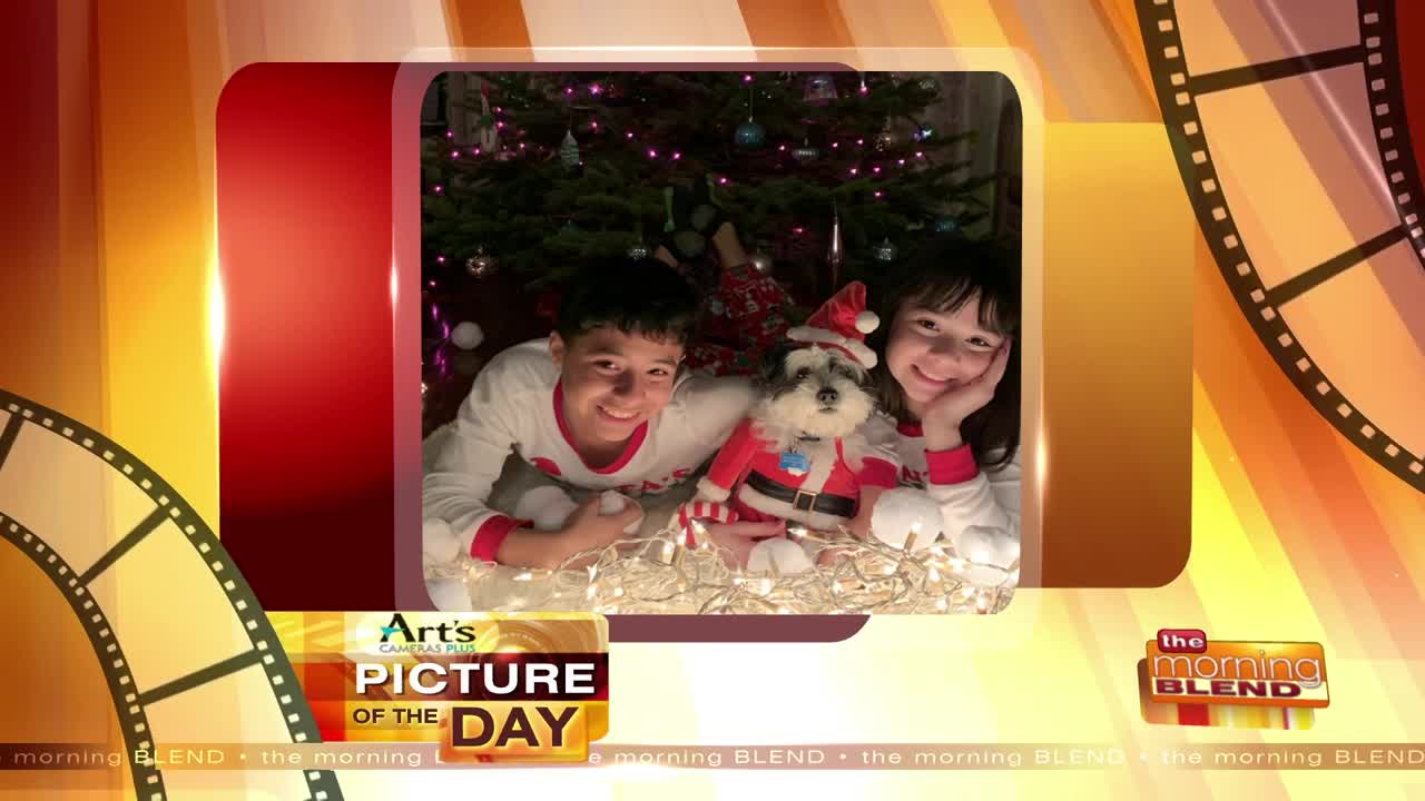 Our Art's Cameras Plus Picture of the Day for December 20!