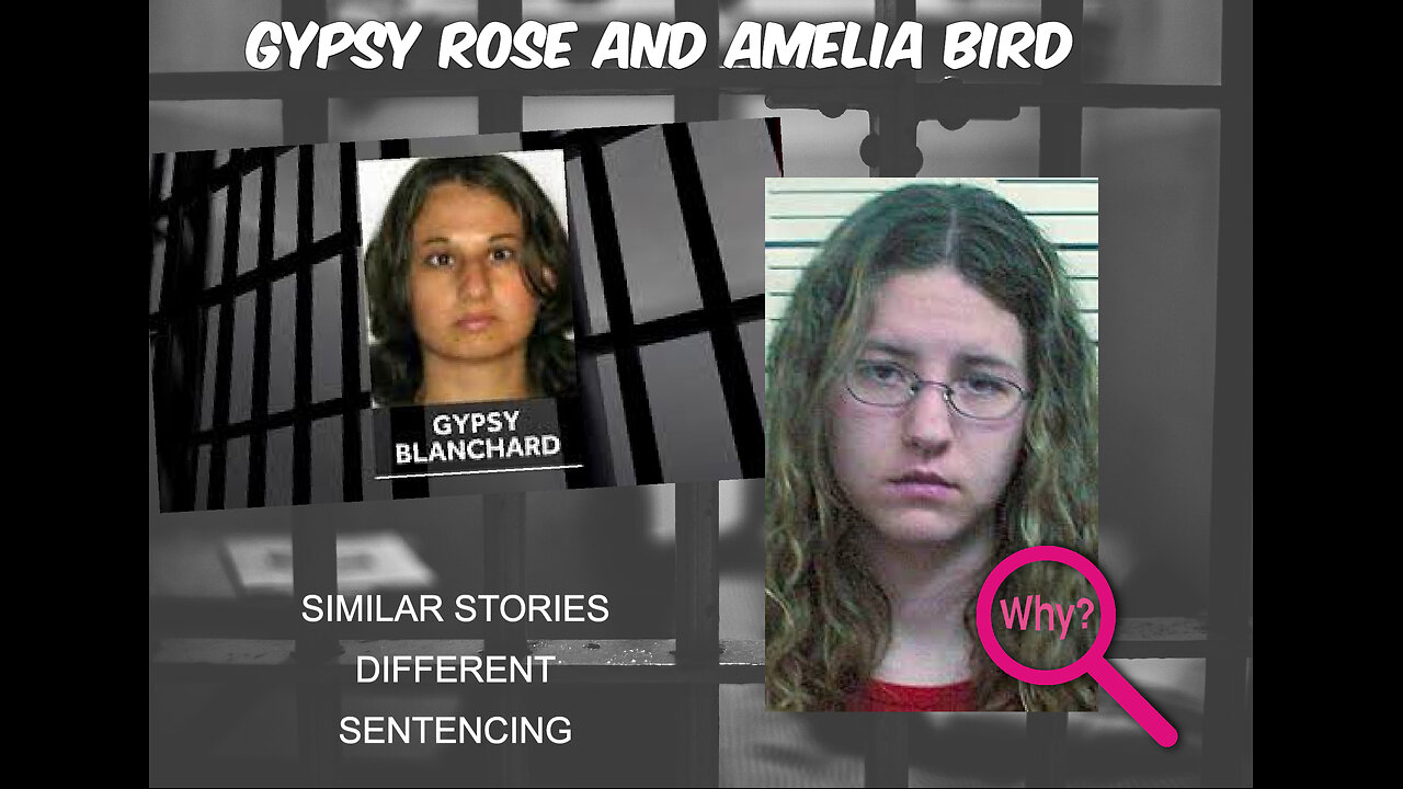 Gypsy Rose and Amelia Bird Similar Stories Different Sentencing Why?