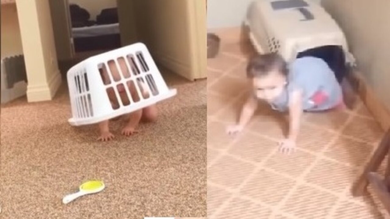 Funny and Naughty Toddler Compilation