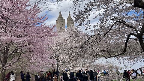 Cherry Hill - Central Park