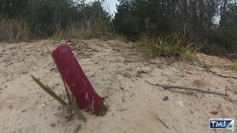 Minnesota man kills Wisconsin girlfriend, baby in Florida forest