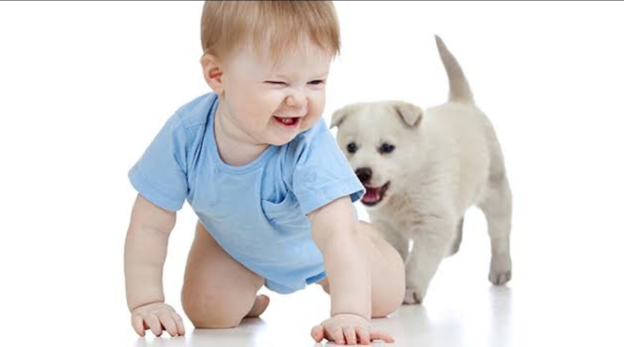 Dog teaches baby to crawl (2021)