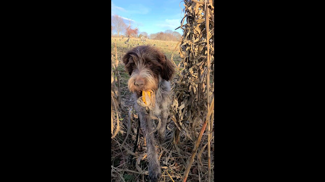 Bored in the blind