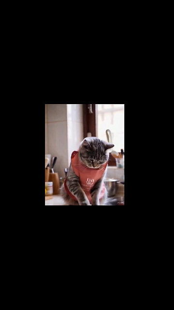 I have always Suspected.....