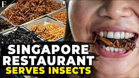 Singapore Restaurant Serves Crickets as Edible Insects get a nod| TN ✅