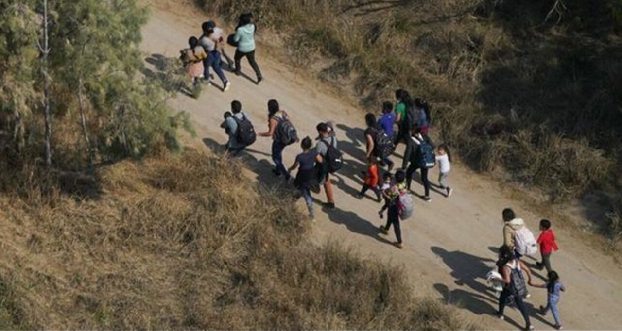 Terral03.com Black Star Report for 2024 Newsletter 28: July 11, 2024