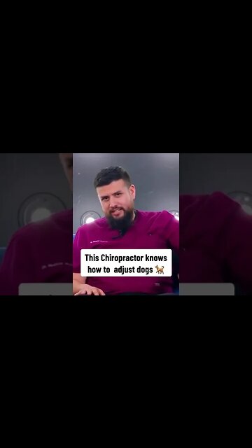 Dr G Celebrity Chiropractor can adjust DOGS too!