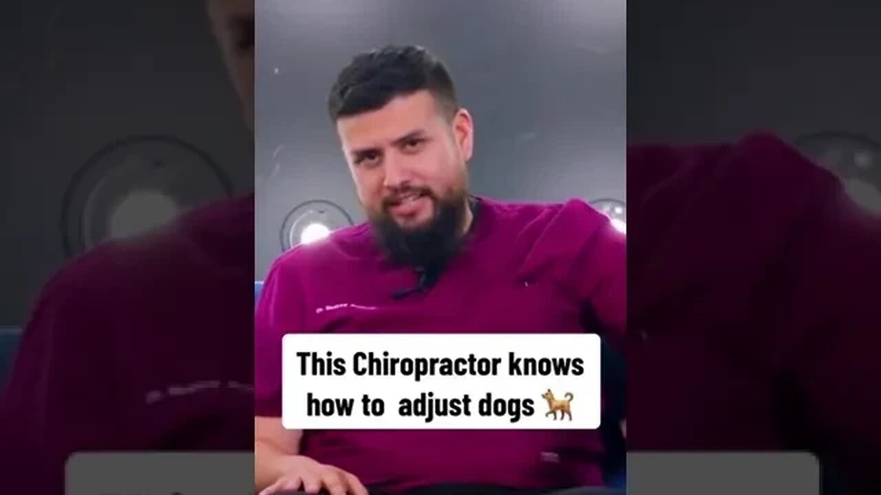 Dr G Celebrity Chiropractor can adjust DOGS too!