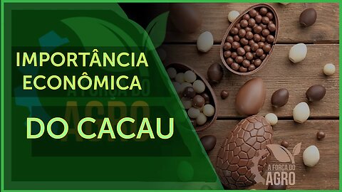 O cacau já foi o principal produto de exportação brasileira