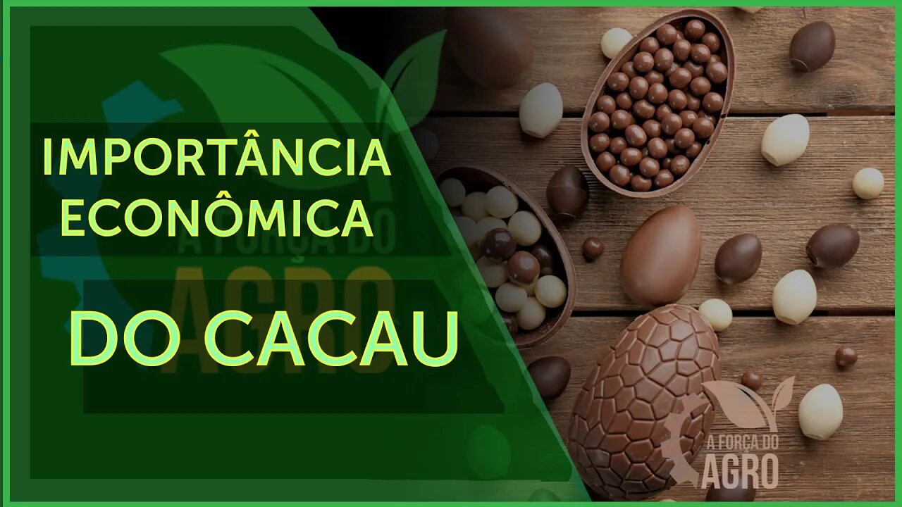 O cacau já foi o principal produto de exportação brasileira