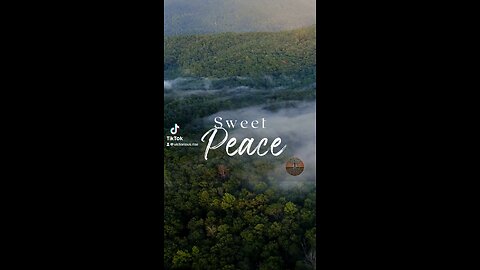 Peace