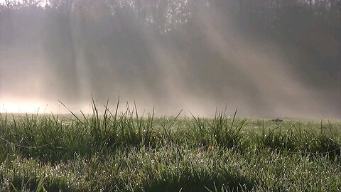 foggy morning