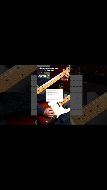 And your bird can sing harmonizing guitar intro #shorts