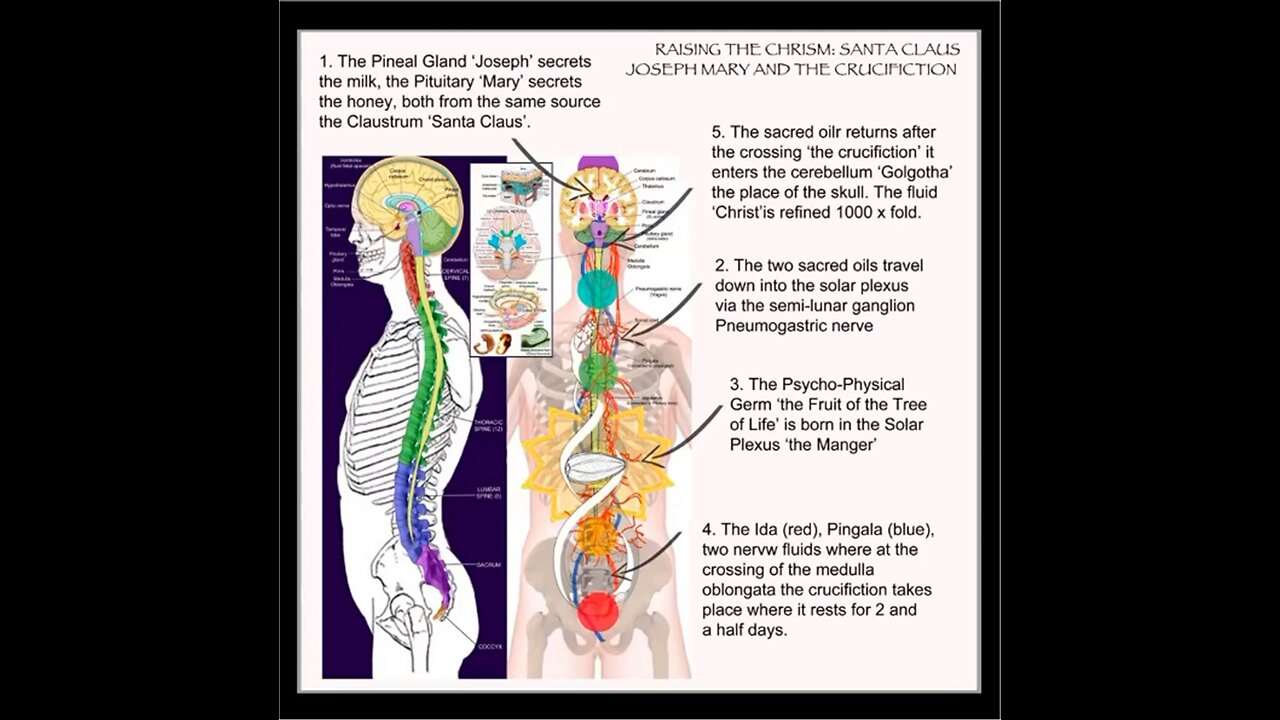 CHRISTOS SACRED OIL. Pineal 🤷‍♀️🤷‍♀️🤷‍♀️