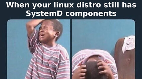 Joborun, A SystemD-less Distro I fail to install in virtualbox
