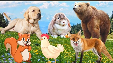 Cute little animals - Dog, Squirrel, Rabbit, Fox, Chicken - Animal sounds