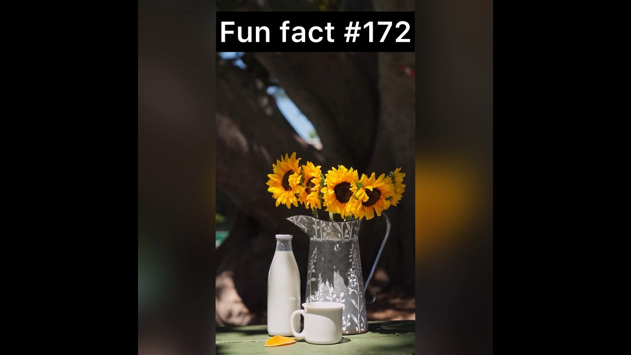 Did you know this about cow’s milk?