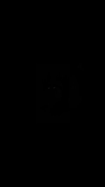 If I had a million dollars