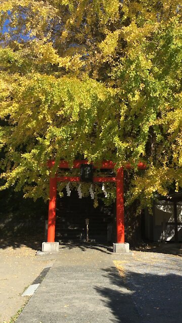 Thunder ⚡️ Shrine
