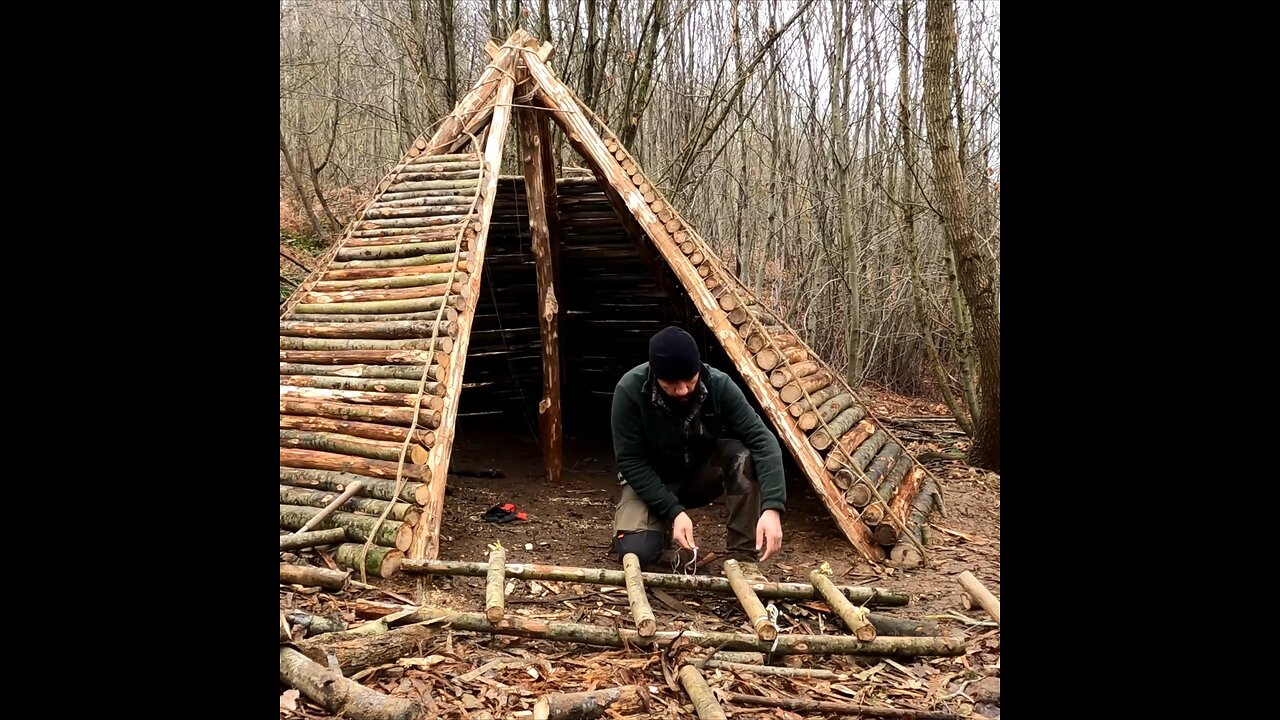 Building hunter hut in the forest