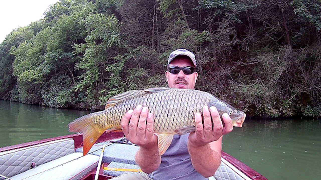 Catching Carp on the Schuylkill River