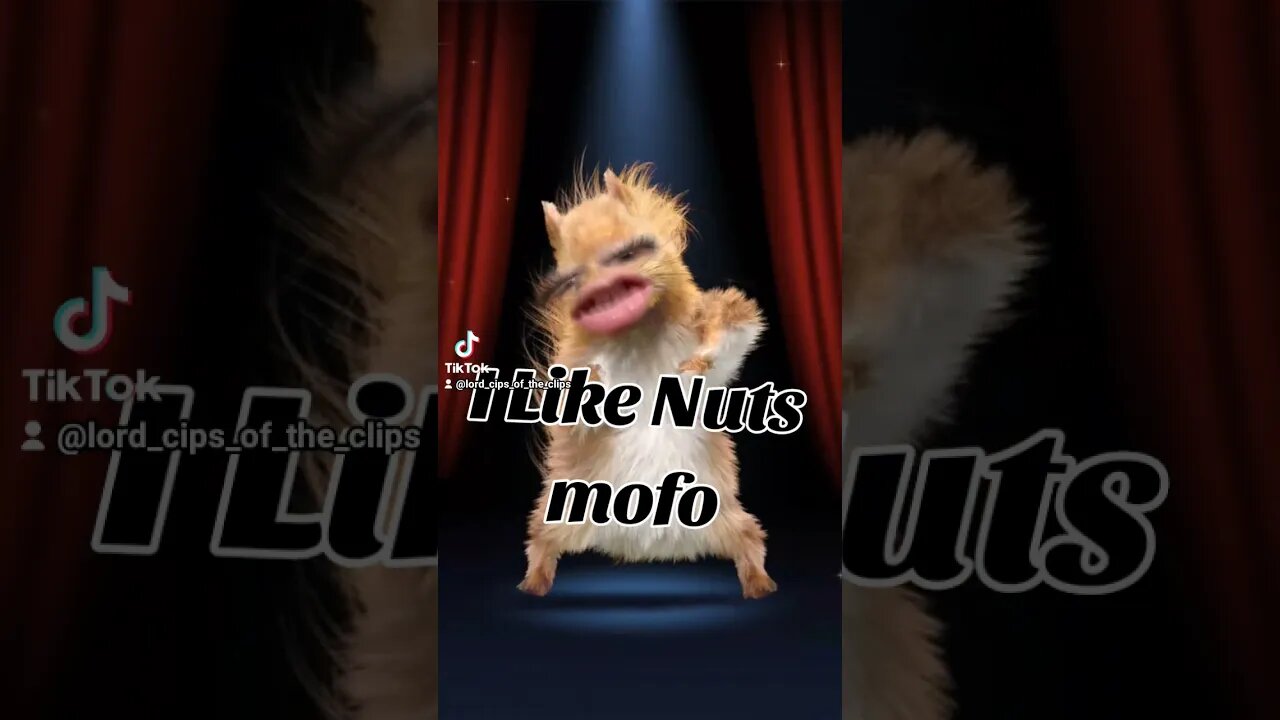 🥜🔩🌰 I Like Nuts Mofo Because Am MoFoing Nuts 🌰🔩🥜 #nuts #squirel