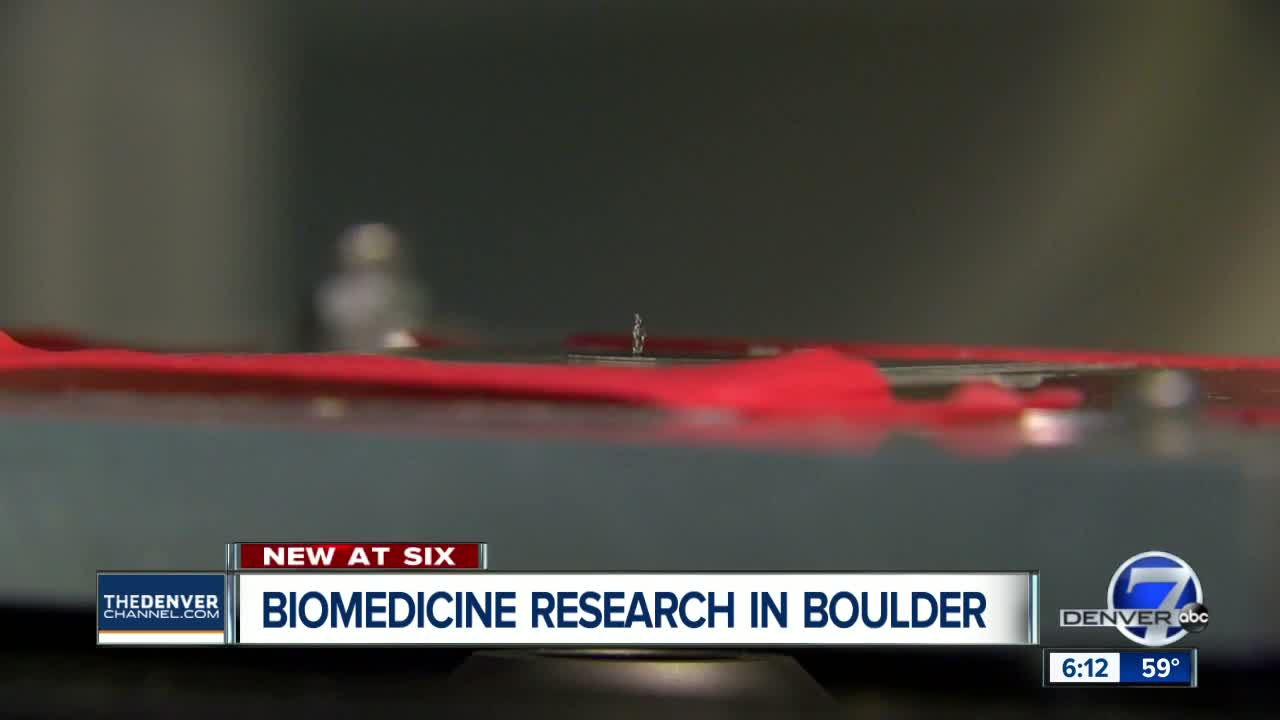 Breakthrough 3D bioprinting at CU Boulder offers new hope to heart and pulmonary patients