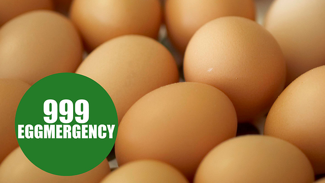 Time waster dials 999 to ask ambulance service for advice about broken EGG in their fridge
