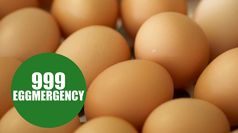 Time waster dials 999 to ask ambulance service for advice about broken EGG in their fridge