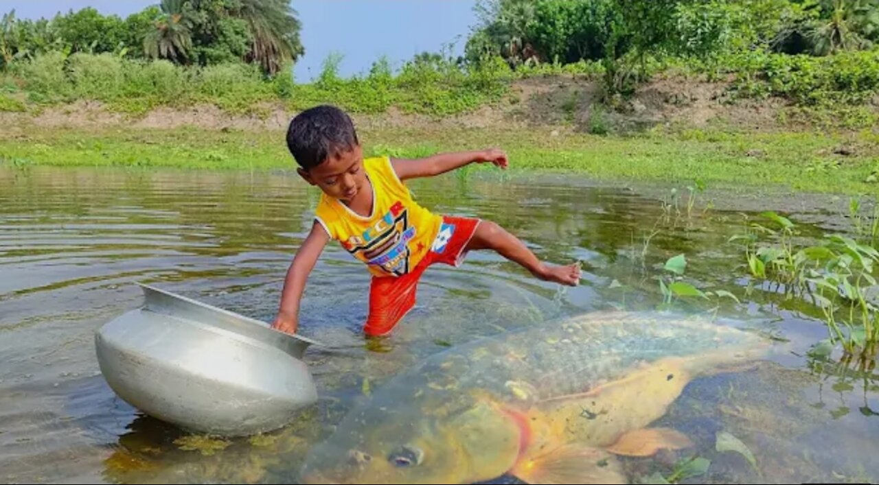 Amazing Hand Fishing Video Traditional Boy Catching Fish By Hand in Pond Water