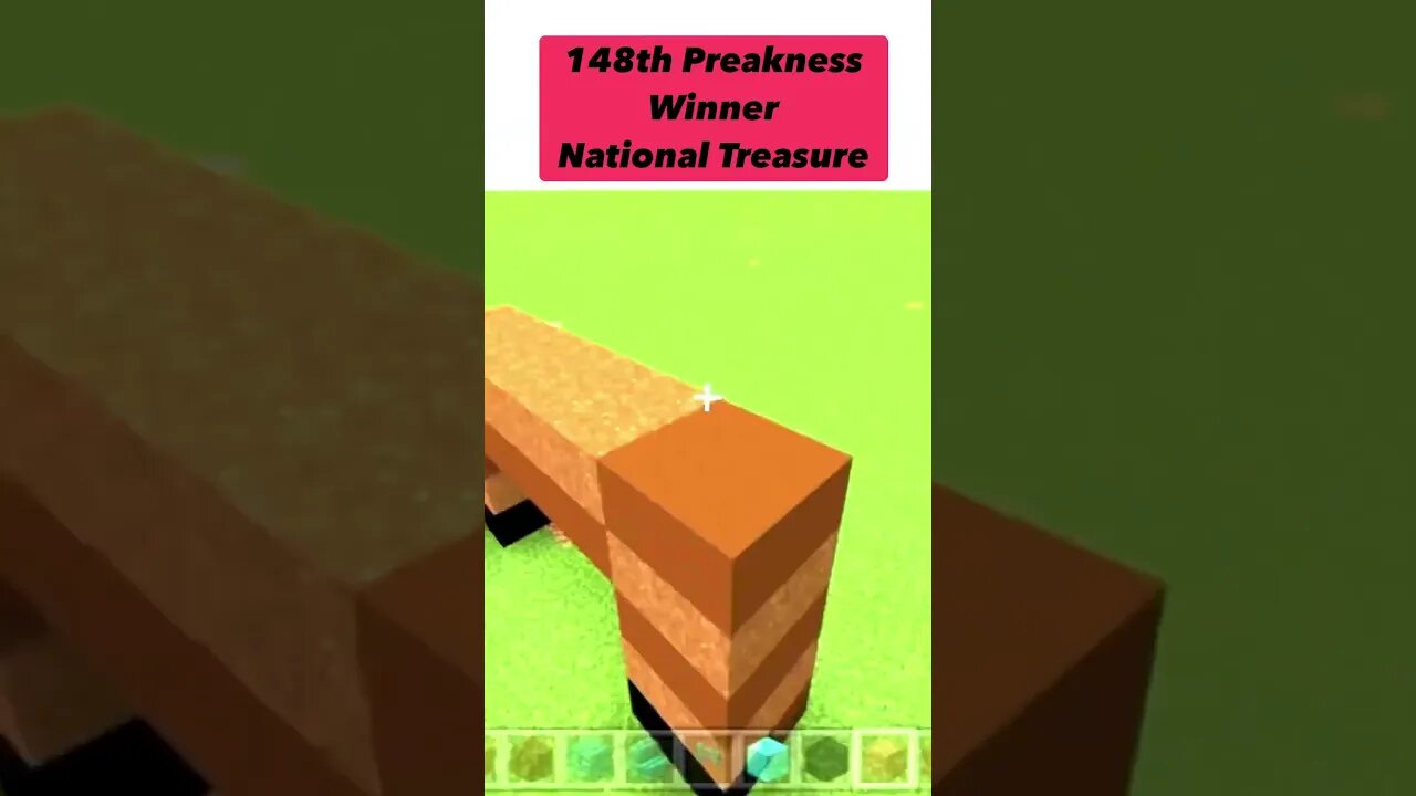 Preakness Winner National Treasure Minecraft Build