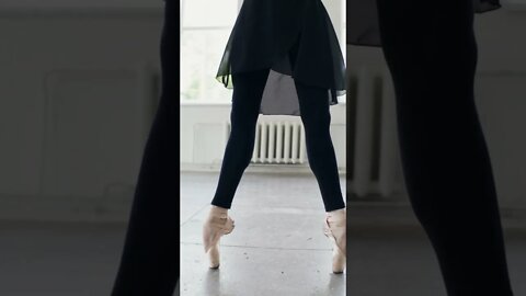 #Shorts #Ballet #Performace #Dance #Renaissance #Music #Classical #Beautiful #Choreography