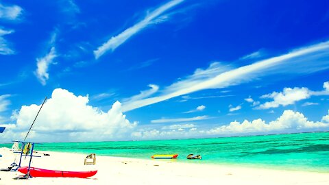 Tropical Days